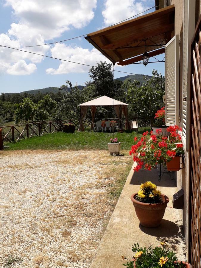 Alle Preci Country house Santa Restituta Esterno foto