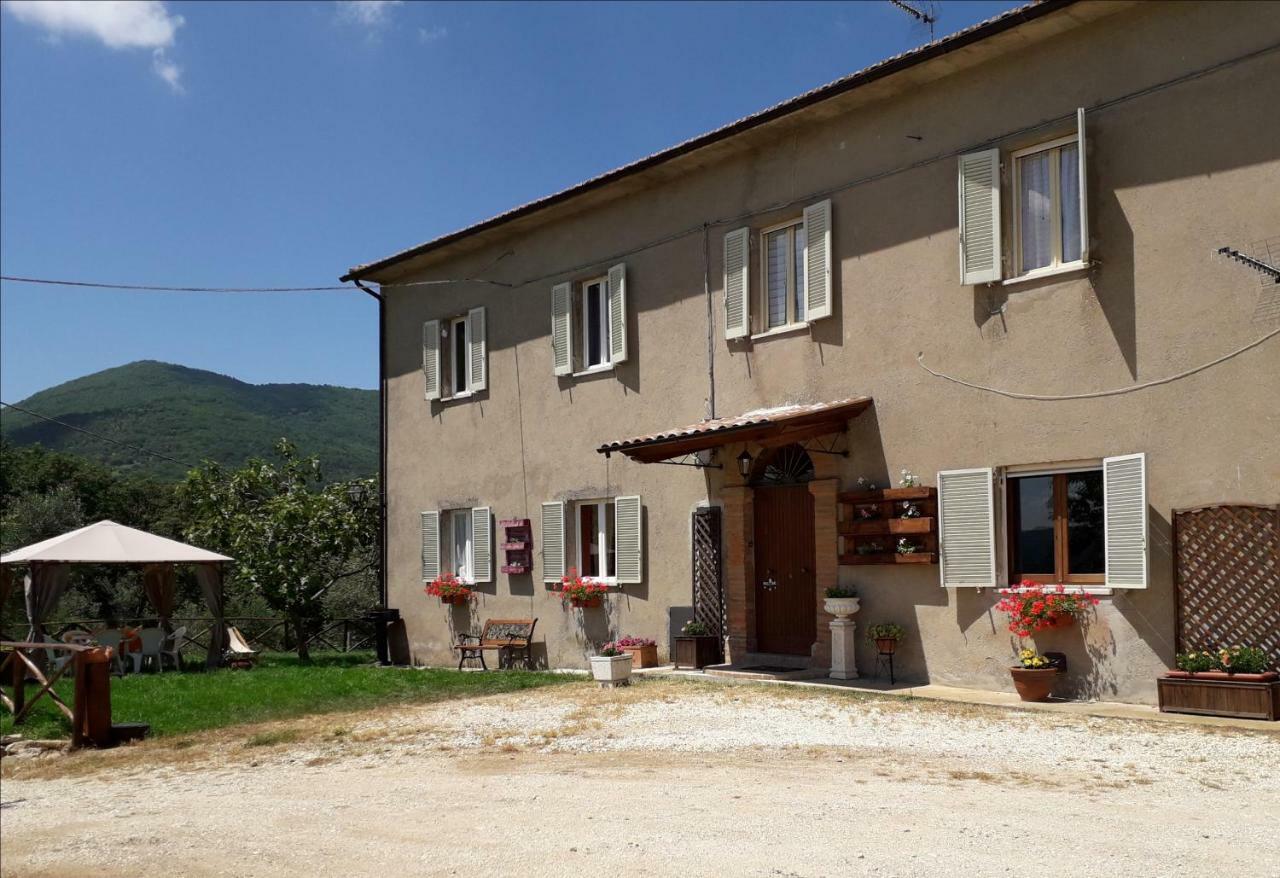 Alle Preci Country house Santa Restituta Esterno foto