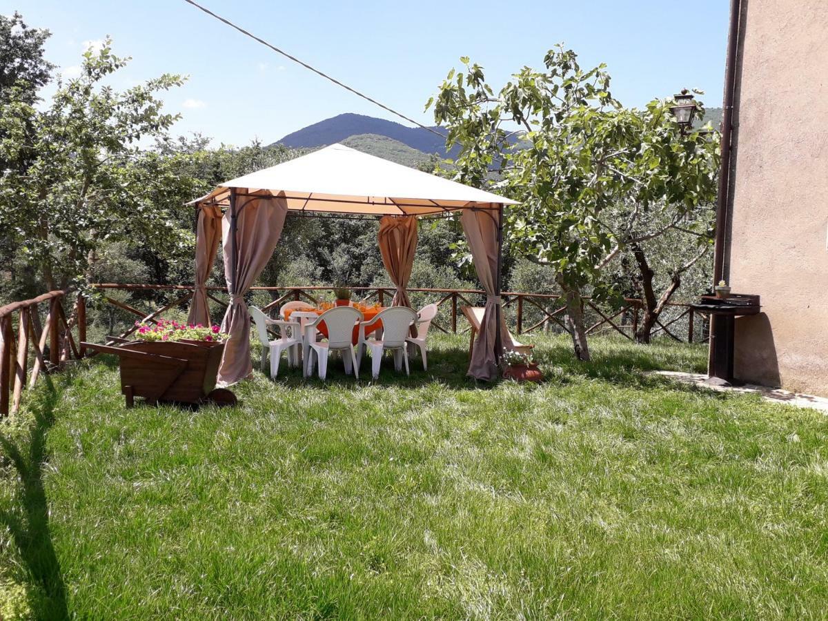 Alle Preci Country house Santa Restituta Esterno foto